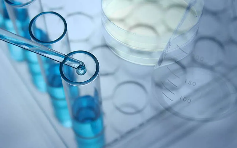 最新消息主要標題文字1